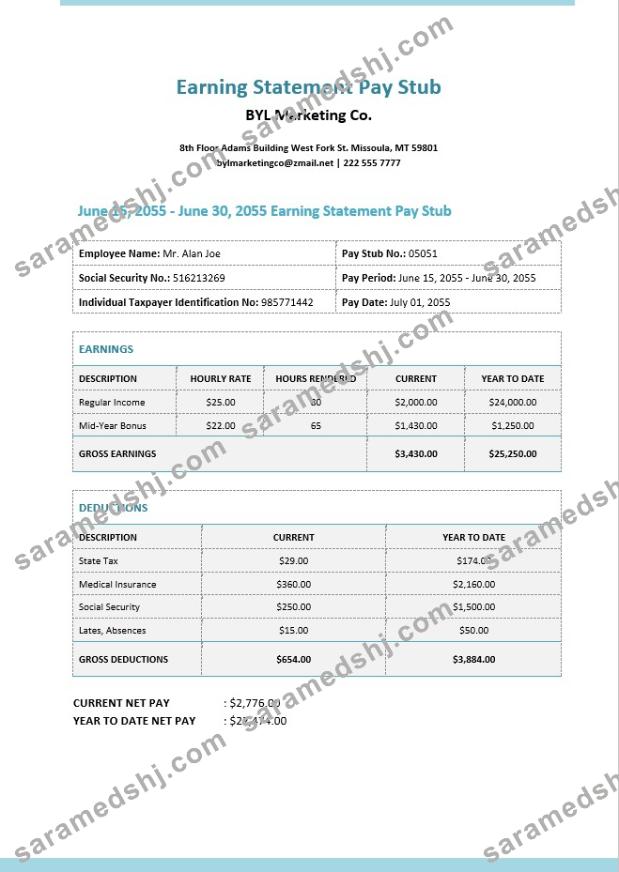 Earning Statement Pay Stub Template